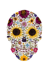 Frontpage: Art Print - Skull in Bloom - New 2025