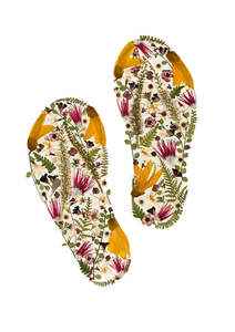 Frontpage: Art Print - Jandals in New Zealand Native Flora - New 2025