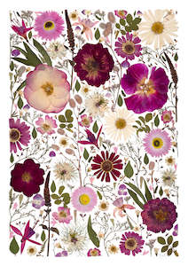 Frontpage: Art Print - All the pinks