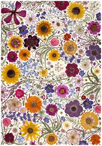 Frontpage: Art Print - Botanist