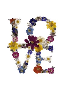 Frontpage: Art Print - LOVE