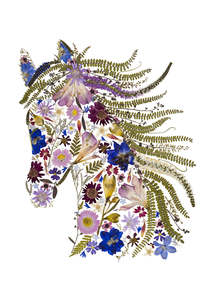 Frontpage: Art Print - Horse