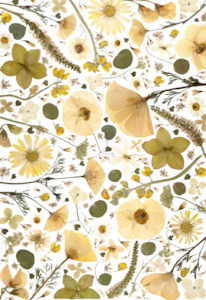 Art Print - Sandy Shades