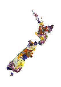 Frontpage: Art Prints - NZ in flowers