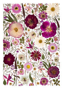 Frontpage: Art Print - All the pinks
