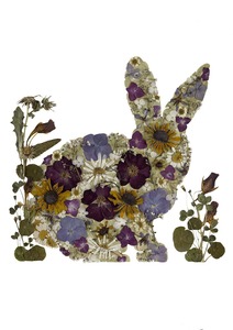 Frontpage: Art Print - Rabbit