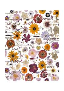 Frontpage: Art Print - Garden Fiesta