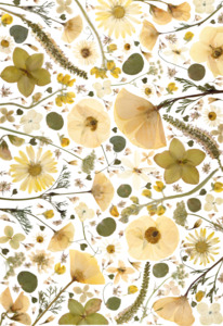 Frontpage: Art Print - Sandy Shades