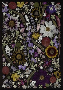 Art Print - Black Magic