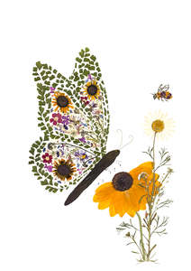 Cards 1: Card - Pollinators - New for 2026