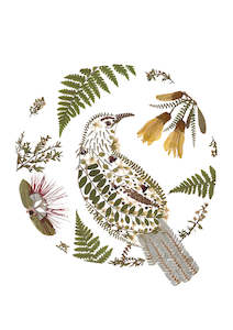 Art Print - Tui - New 2025