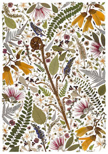 Art Print - Emerging Koru - New 2025