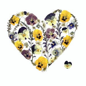 Cards 1: Card - Pansy Heart