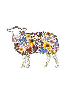 Frontpage: Art Print - Sheep - New for 2026