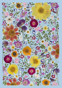 Art Print - Cottage Garden