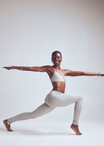 Gifts Under 100: SHA Bra