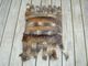 Camel saddle cushion