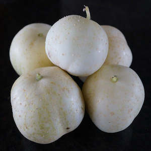 Marrow: Cucumber Apple Seedling