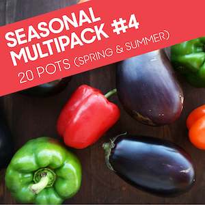 Top Spring Favourites 4 Pack: Seasonal Multipack #4: 20 pots ( 20 pots for the price of 17)