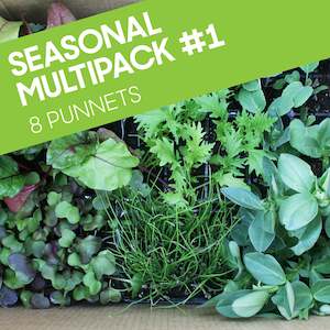 Top Spring Favourites 4 Pack: Seasonal Multipack #1: 8 punnets (Eight punnets for the price of six punnets)