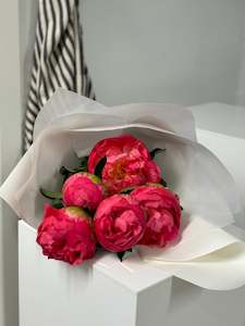 Flowers: Peonies - Coral Sunset