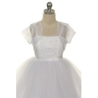 Products: Sheer Organza Bolero