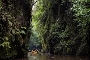 10% Riverside Adventures Waikato Discount Code
