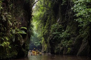 Products: 10% Riverside Adventures Waikato Discount Code