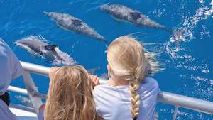 10% on Tikapa Moana Whale and Dolphin Wildlife Cruise with Explore Group