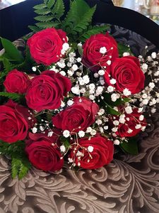 Products: Classic 10