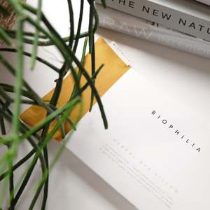 All: Herbal Eye Pillow - Chamomile