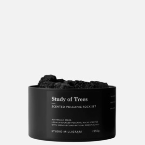 Study of Trees Scented Volcanic Rock Set