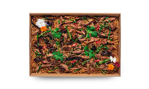 Products: Cantonese Style Shredded Duck Chow Mein Dragons Restaurant