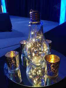 Glass lightbulb Vase w fairy lights