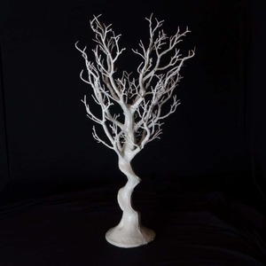 Centrepieces: White manzanita tree