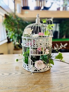 Bird Cage White