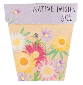 Mothers Day 1: Sow 'n Sow - A Gift Of Seeds - Native Daisies