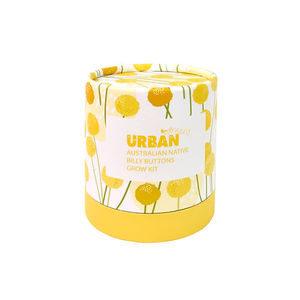 Urban Greens - Grow Kit - Australian Native Billy Buttons
