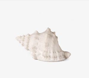 Light Up Conch Shell