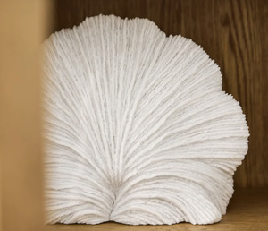 Lighting: Light Up Coral