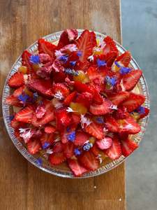 Strawberry Large Tarts (No gluten)