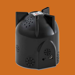 Emf: QSB Quantum Scalar Box