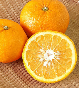 Seeds: Beni Amanatsu – Citrus aurantium