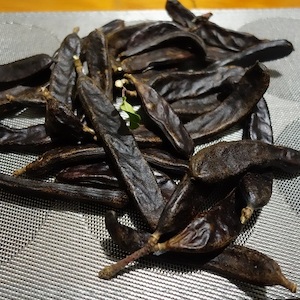 Carob (NZ source) – Ceratonia siliqua