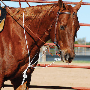 String Martingale