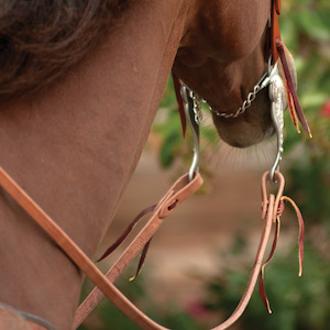 Harness Split Reins 5/8-inch Thick Tied Ends