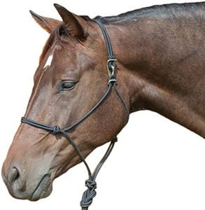 Classic Adjustable Rope Halter and Leadrope