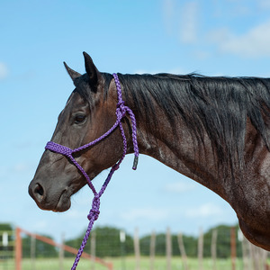 Full: Flat Braid Halter with Leadrope