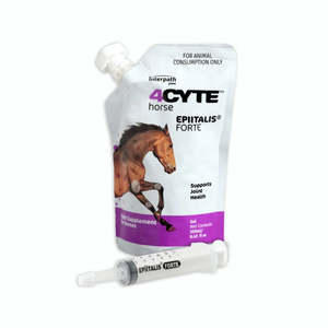 4CYTE EPIITALIS FORTE FOR HORSE GEL