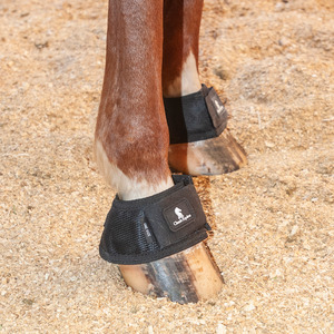 Bell Boots: Classic MAGNTX BELL BOOT